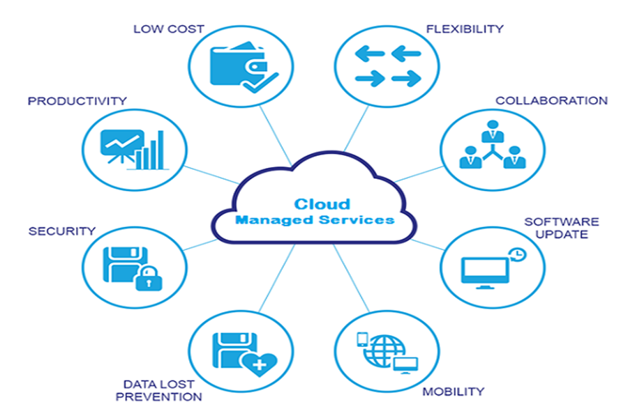 Service Provider of Reduce Management Cost in New Delhi, New Delhi, India.